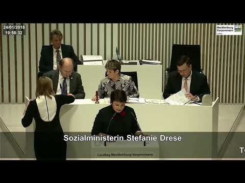 Gendergerechte Sprache - Stefanie Drese