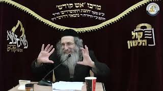 אידיש-הרב אלימלך בידרמן |שירת האמונה ישועה בשבת שירה וט"ו בשבט-פרשת בשלח תשפ"ו/שיעור בעברית בתיאור👇🏻 (ארגון קול הלשון) - התמונה מוצגת ישירות מתוך אתר האינטרנט יוטיוב. זכויות היוצרים בתמונה שייכות ליוצרה. קישור קרדיט למקור התוכן נמצא בתוך דף הסרטון אידיש-הרב אלימלך בידרמן |שירת האמונה ישועה בשבת שירה וט"ו בשבט-פרשת בשלח תשפ"ו/שיעור בעברית בתיאור👇🏻 (ארגון קול הלשון) - התמונה מוצגת ישירות מתוך אתר האינטרנט יוטיוב. זכויות היוצרים בתמונה שייכות ליוצרה. קישור קרדיט למקור התוכן נמצא בתוך דף הסרטון