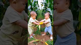 Fight for corn #baby