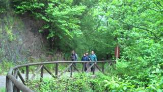preview picture of video 'Senda del Oso, ruta guiada por Trekkapp, Asturias'