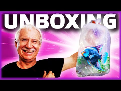 Seltene Fisch-Unboxing: Du wirst staunen!
