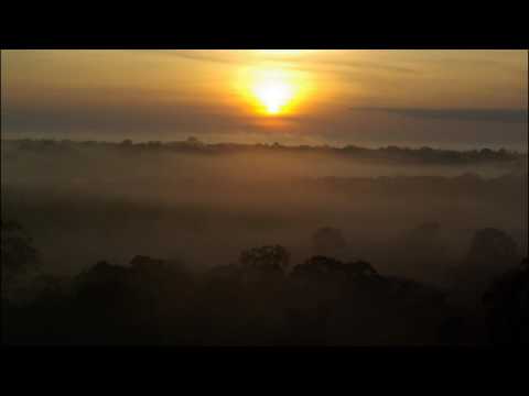 Hedowiec - Flight (Original mix)