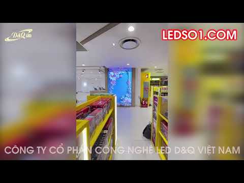 Video dự án