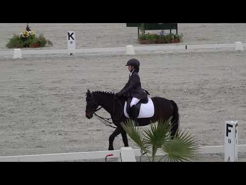 CDN Sociedade Hípica Portuguesa Mafalda Reymão Rente Dressage Iniciados 1 Mollehusen William