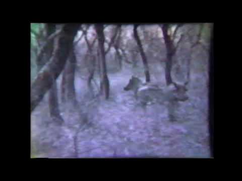 23 South Africa Kruger National Park