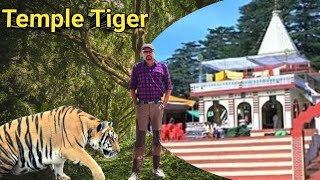 Temple Tiger वो बाघ जिससे हार मान ली Jim Corbett ने । शिकार Wildlife Stories। Tiger Hunting Stories