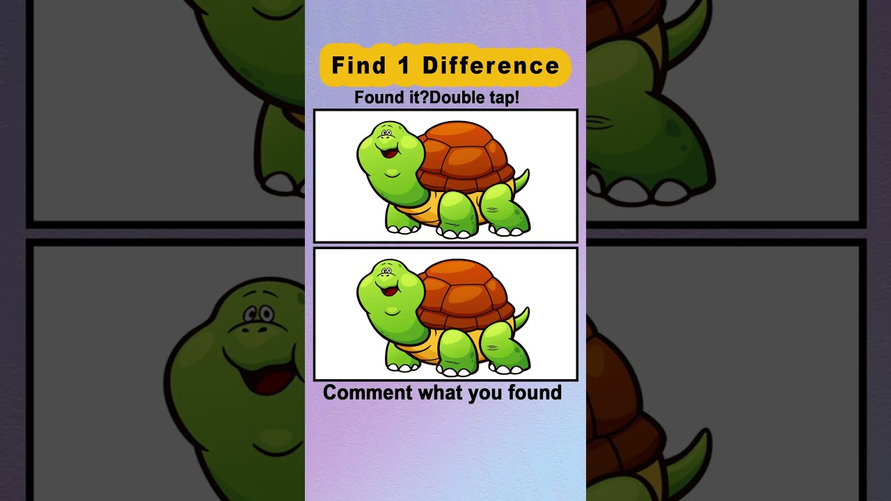 How many differences can you find about the turtle?🐢