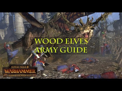 Total War: WARHAMMER Wood Elves Army guide - Double spellsingers