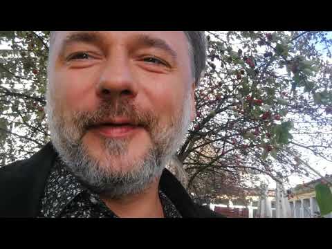 Czy orzech czarny jest jadalny?