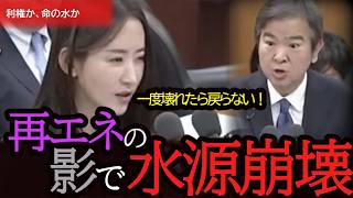 【国会激震】島村かおるが暴く「風力発電」の真実！日本の水源が狙われている？私たちが守るべき最後の砦とは。【参政党】