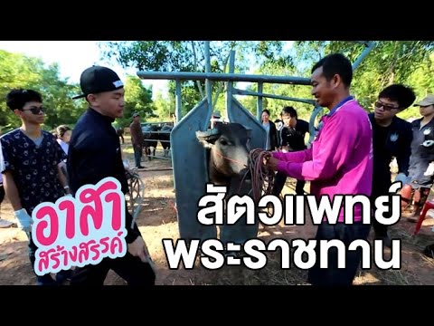 Exciter สำหรับผู้หญิงราคาถูก ขาดแคลเซียมและความแข็งแรง