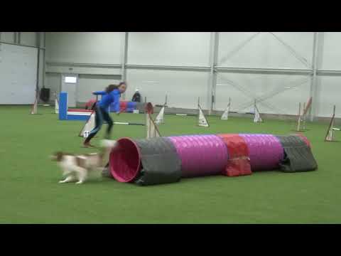 Petris Cup II., Kladno, 20.1.2019, Afi a Moris