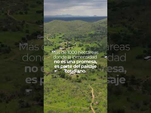 Sierra Virgen | Amplitud Real #Panaholma #Cordoba