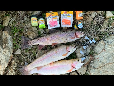 How to Fish Powerbait for Trout (Easy Method)