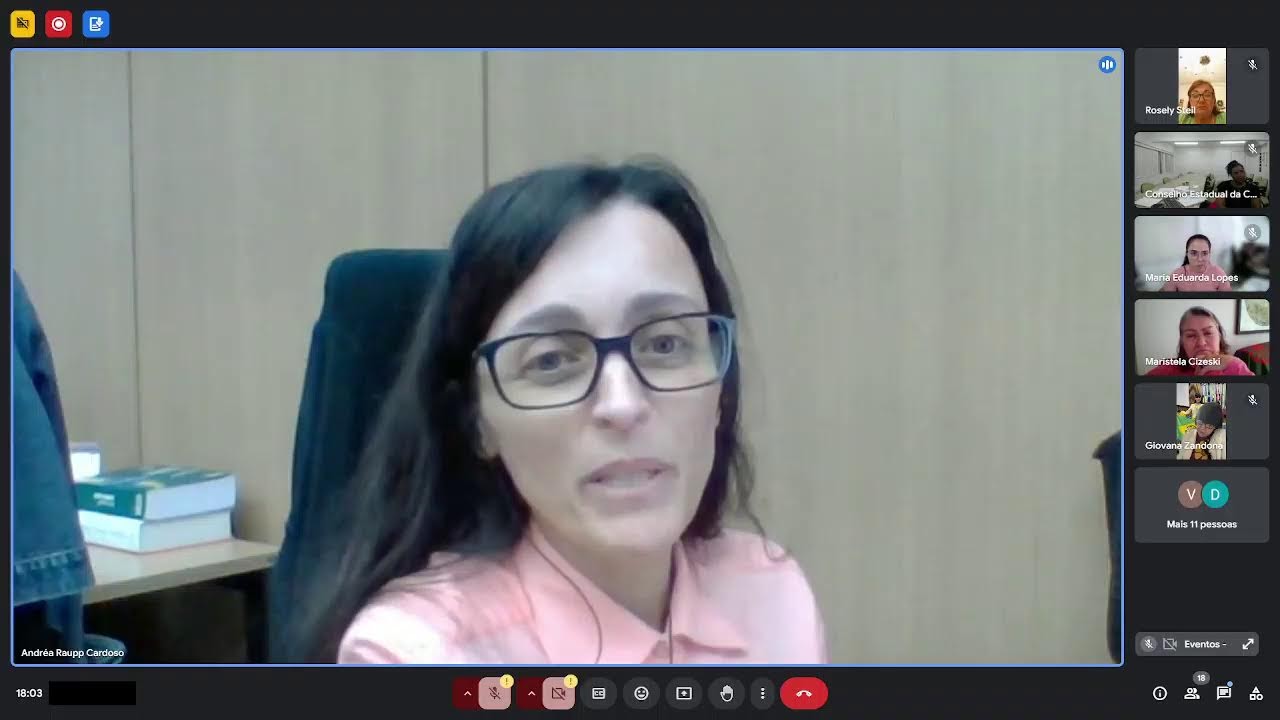 Plenária Ordinária CEDCA/SC de 24.10.2024