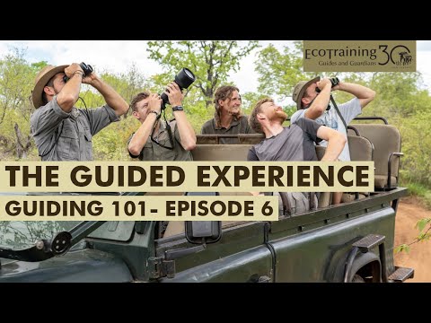 The guided experience | Guiding 101 - Episode 6 l EcoTraining