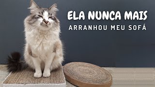Cat Scratcher with Cardboard - 2 models | learn how to do this DIY for your cat