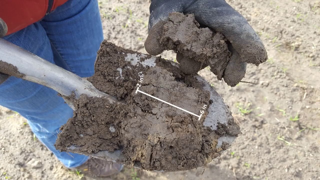 How to Take a Soil Sample