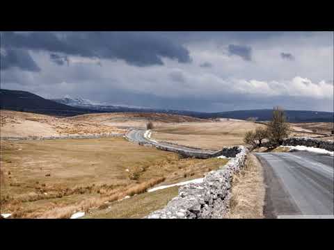 Patric Arcee - Survive Mind [ Ablazing Records ]