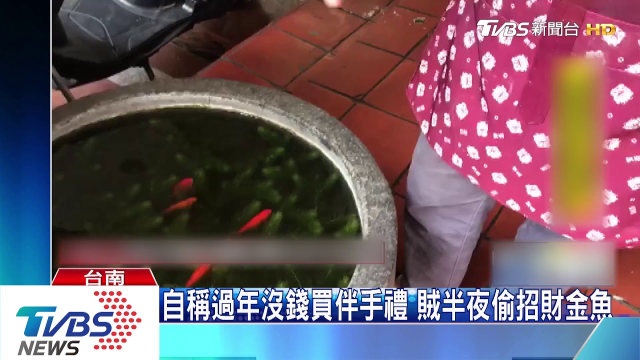 自稱過年沒錢買伴手禮　賊半夜偷招財金魚