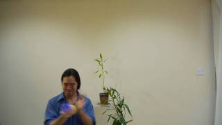 Re: [討論] 阿凡達 真的那麼多人看過與狼共舞風中