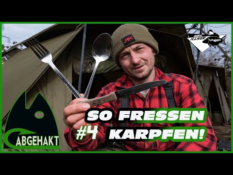 ABGEHAKT #4: SO FRESSEN KARPFEN!!!