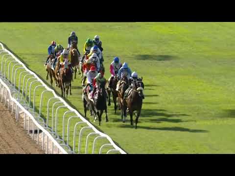 2021.05.29 Lonsdale Stirrup Cup (RSA) - Black Knap
