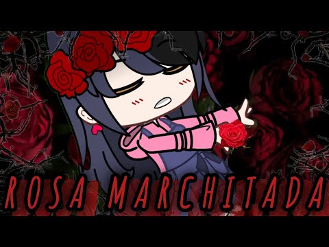 Rosa marchitada🥀🥀🥀