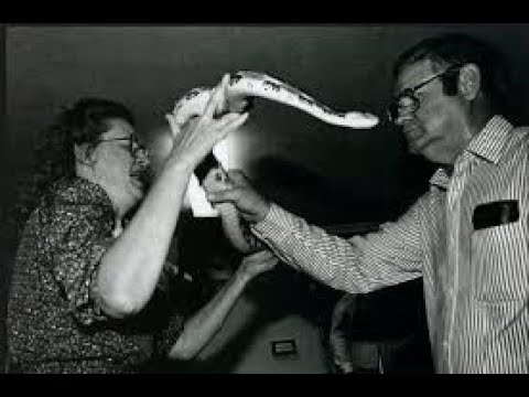 A Current Affair-Snake Handling Church
