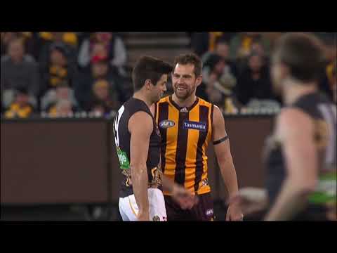 Round 18 Richmond VS Hawthorn 2015 Brett Deledio Kane Lambert