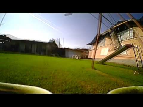 2017 05 30   Candelo   Dys ELF   il favoloso giardino di OZ