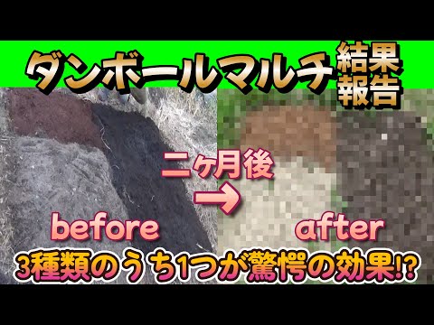 いくつかのボックスを使用すると、植物の周りにマルチを作成できます