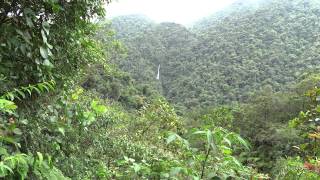 preview picture of video 'Parque Nacional Tapantí - Catarata El Salto'