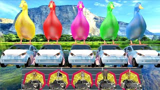 5 Giant Duck Cartoon,Elephant,Tiger,Cheetah,Deer,Dog Paint Wild Animals Crossing Fountain Animation
