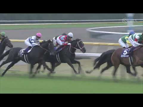 2021 Tenno Sho Autumn G1