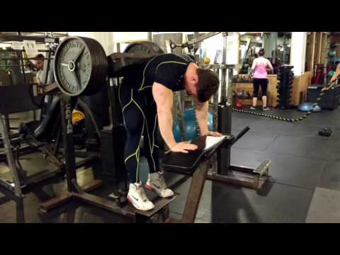 Donkey Calf Raises