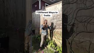 7 Different Ways to Trellis Your Garden