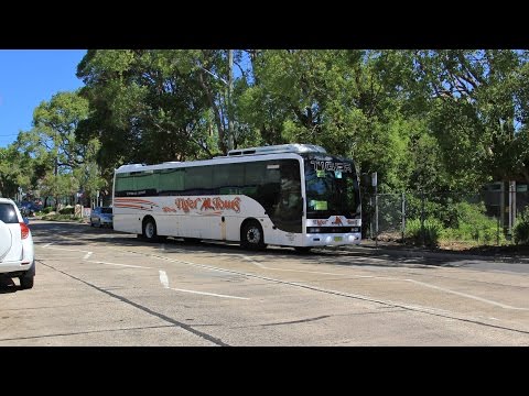 Tiger Tours (Telford's) TV 3572 - MAN A72 18.280 (ZF/Mills-Tui "Orbit")