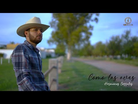 Como las aves - Hermanos Corrales