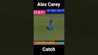 Alex carey 🔥🔥 #cricketshorts #ipl #ipl2022 #mirchitaran