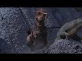 Confrontando O Carnotauro Dinossauro 2000 Aventura Cena HD