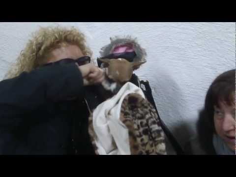 SIDRERIA SARASOLA(ASTEASU)