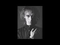 Peter Murphy - Never man