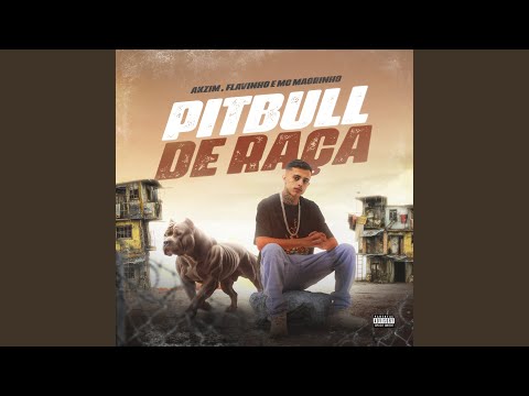 Pitbull de Raça