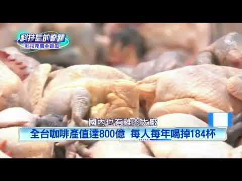 【壹電視】科技島奇蹟，AI智慧農業讓AI來篩選雞