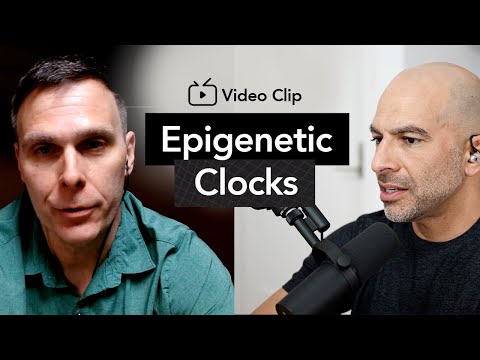 What are epigenetic clocks and do they work? | Peter Attia, M.D. & Matt Kaeberlein, Ph.D.