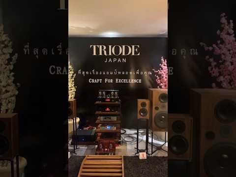 🔵 TRIODE TRV-A300XR + SPENDOR Classic4/5 @BAV Hi-End Show 2024 #Triode #AudioForce