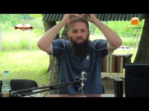 mr Elvedin Pezić   Virus haridžizma