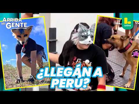 ¡"Therians" son atacados por identificarse como animales! | Arriba Mi Gente 😱🐾