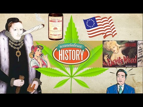 Scandalous History of Weed